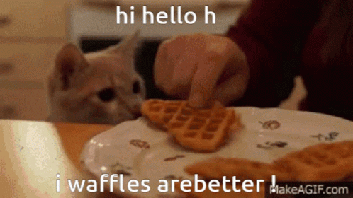 Cat Looking At Waffles GIF