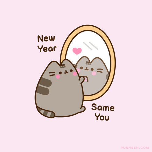 Cat Looking In Mirror New Year Same You GIF