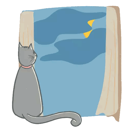 Cat Looking Out Window
