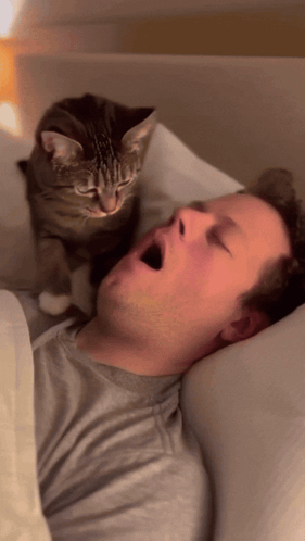 Cat Looking Over Sleeping Man