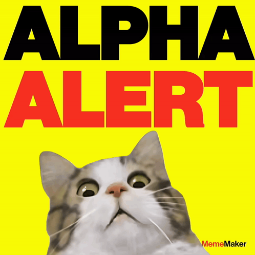 Cat Looking Up At Alert Poster GIF
