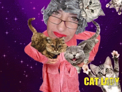 Cat Lover Cat Lady GIF