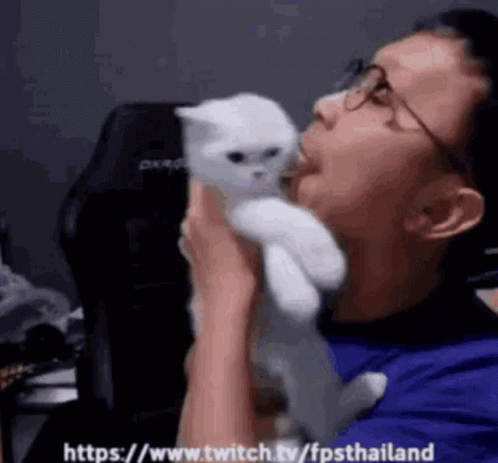 Cat Lover Licking Cat GIF