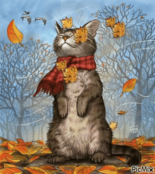 Cat Loves Fall Weather GIF