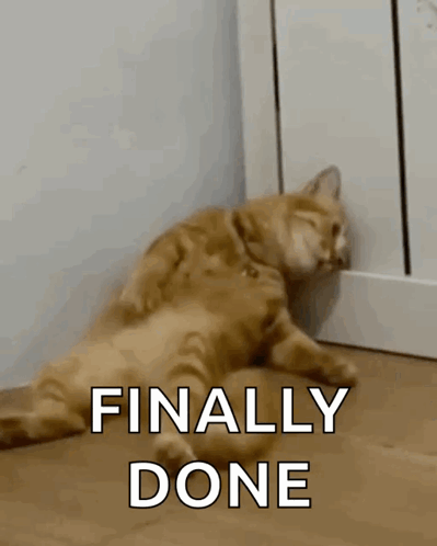 Cat Lying Down With Finally Done