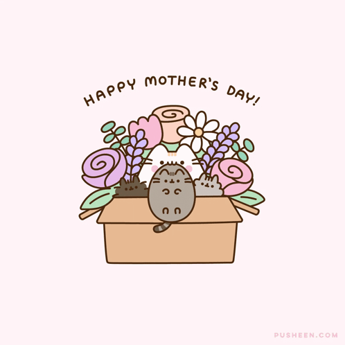 Cat Lying In Box With Flowers Happy Mothers Day GIF