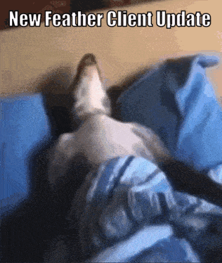 Cat Lying On Bed GIF