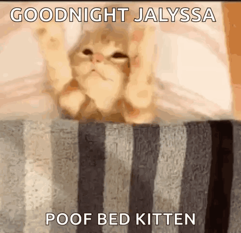 Cat Lying on Bed Saying Goodnight