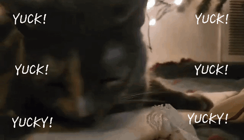 Cat Lying on Bed With Yuck Words