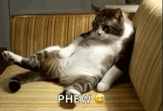 Cat Lying On Couch Phew GIF