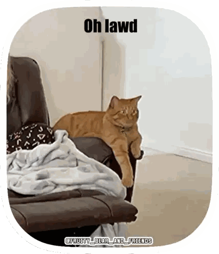 Cat Lying on Couch Saying Oh Lawd