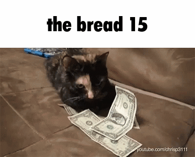 Cat Lying On Couch With Money The Bread 15 GIF