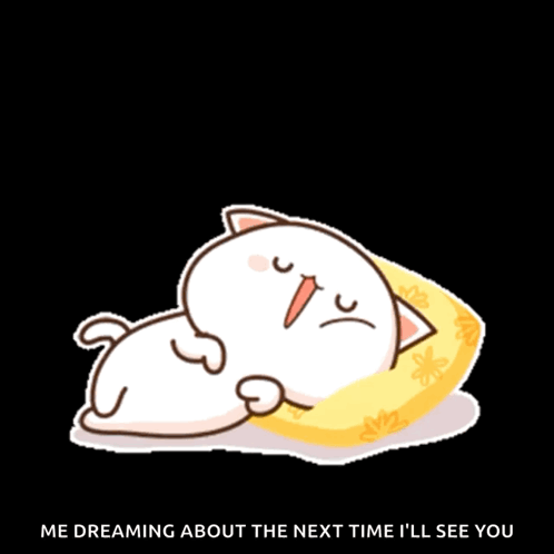 Cat Lying on Pillow Dreaming About Seeing You