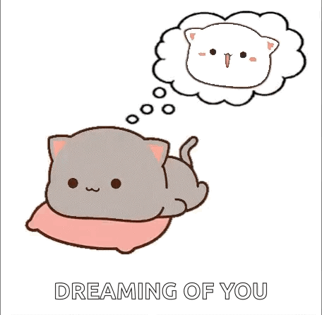 Cat Lying on Pillow Dreaming of White Cat