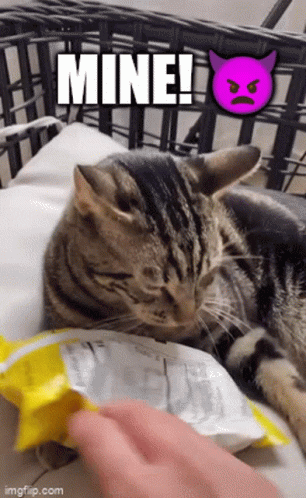 Cat Lying on Pillow Next to Chips and Purple Devil