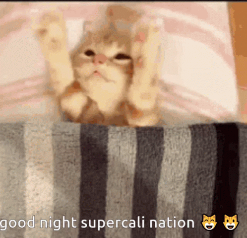 Cat Lying on Striped Blanket Good Night