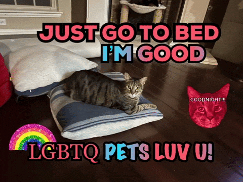 Cat Lying on Striped Pillow Saying Just Go to Bed