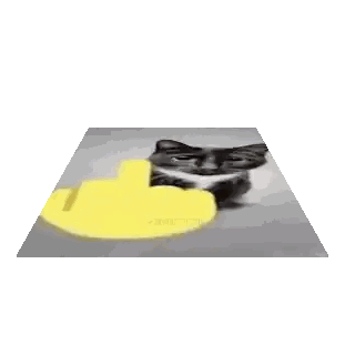Cat Lying on Table Next to Yellow Thumb