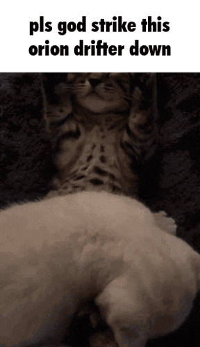 Cat Lying on White Dog
