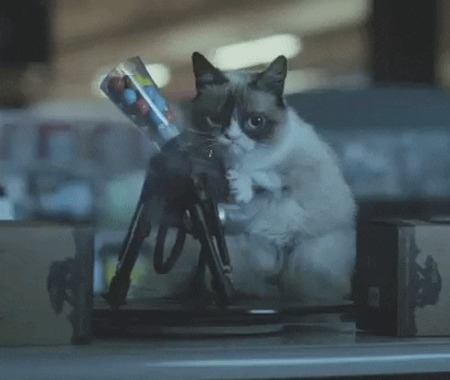 Cat Machine Gun Bad Aim GIF