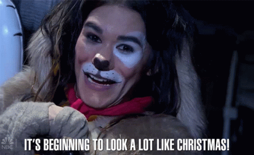 Cat Makeup It's Beginning to Look Like Christmas
