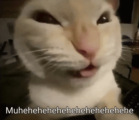Cat Making Funny Face Muuhhhee