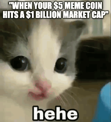 Cat Making Funny Face When Your $5 Meme Coin Hits a $1 Billion Market Cap