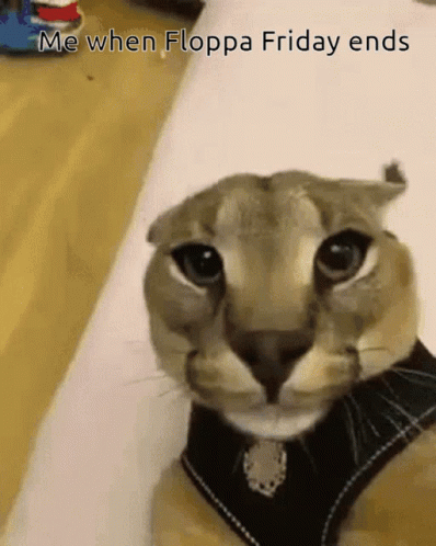 Cat Me When Floppa Friday Ends GIF