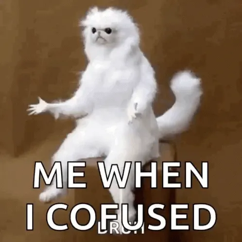 cat-meme-im-confused-ih5l2m8hmivy6l0f.we