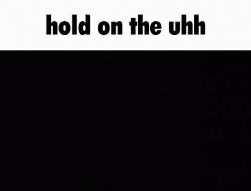 Cat Meme Saying Hold On The Uhh