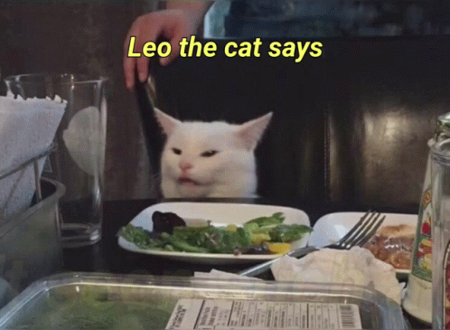 Cat Meme You Sit On A Throne Of Lies GIF