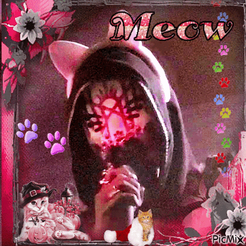 Cat Meow