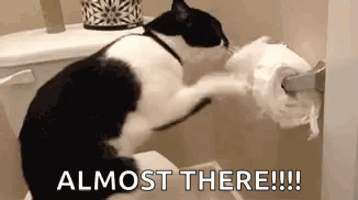 Cat Messed With Bathroom Tissue GIF