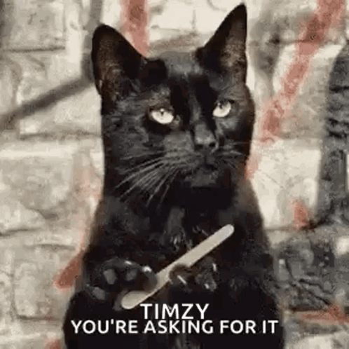 Cat Nail File You're Asking For It GIF