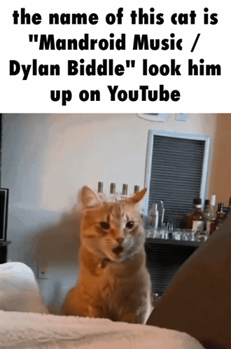 Cat Named Mandroid Music and Dylan Biddle Youtube