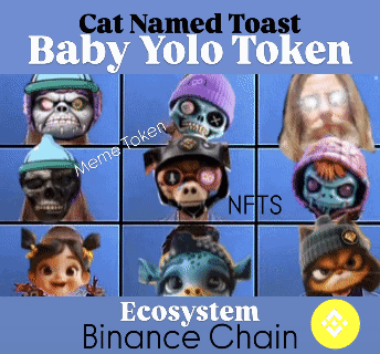 Cat Named Toast Baby Yolo Token Ecosystem Binance Chain Meme Token Nfts GIF