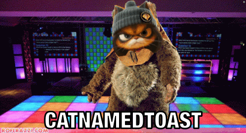 Cat Named Toast Dancing