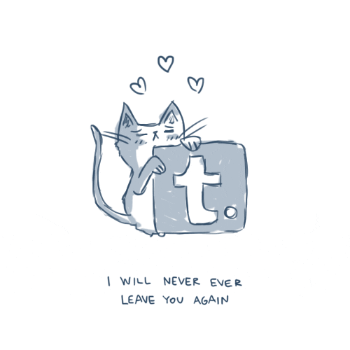 Cat Never Leave You Tumblr GIF