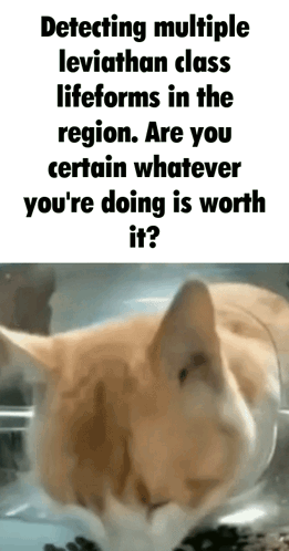 Cat Next To Detecting Leviathan Lifeforms GIF