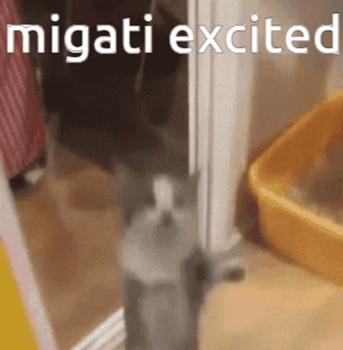 Cat Next to Yellow Litter Box and Migatti Excited Sign