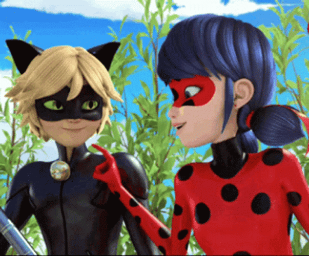 Cat Noir And Ladybug Smiles GIF