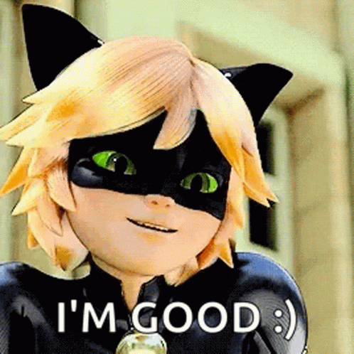 Cat Noir From Miraculous Ladybug Smiling