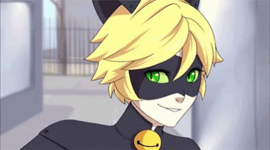 Cat Noir Miraculous Ladybug Anime GIF