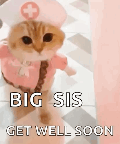 Cat Nurse Big Sis Get Well Soon GIF