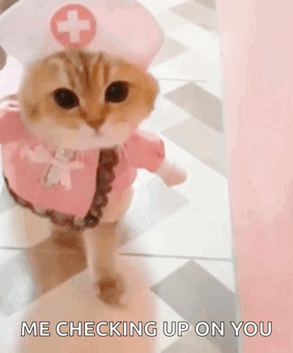 Cat Nurse Saying Me Checking Up on You