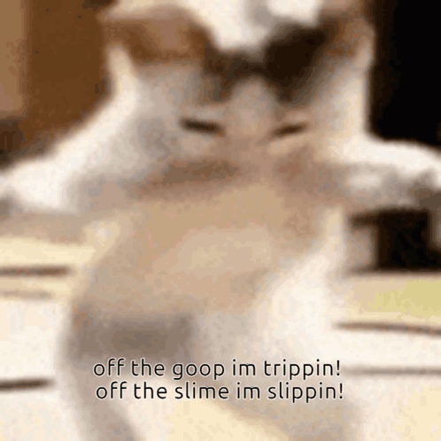 Cat Off The Goop Im Trippin Off The Slime Im Slippin