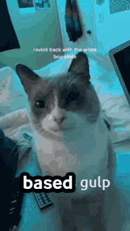 Cat on Bed With Laptop Remote Saying Based Gulp