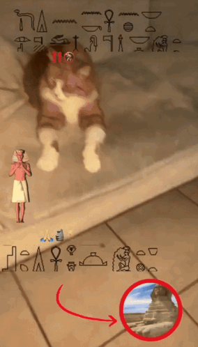 Cat on Bed With Pharaoh Statue and Sphinx Picture