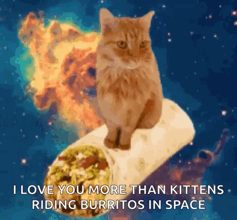 Cat On Burrito I Love You More Than Kittens Riding Burritos In Space GIF
