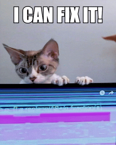 Cat On Computer I Can Fix It GIF